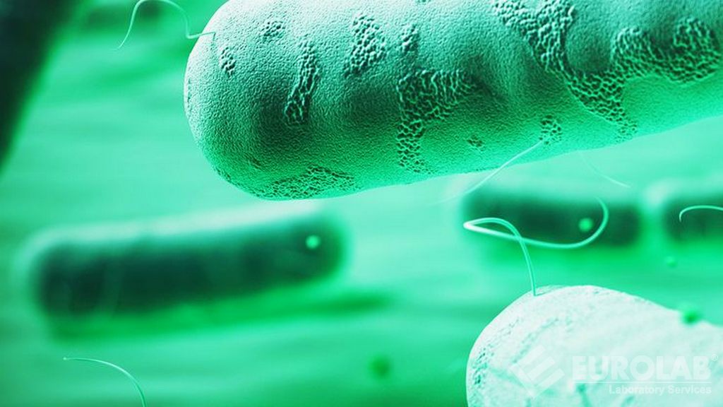Antimikrobiyal Kumaş ve Tekstil Testi